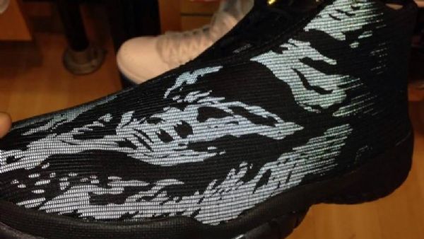 Nike Air Jordan Future Tiger Kengät Miehille Ruskea